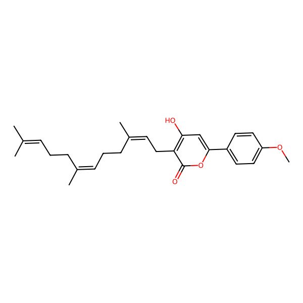 2D Structure of 4-Hydroxy-6-(4-methoxyphenyl)-3-(3,7,11-trimethyldodeca-2,6,10-trienyl)pyran-2-one