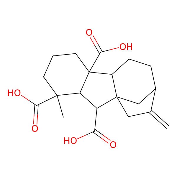 2D Structure of 4-Methyl-13-methylidenetetracyclo[10.2.1.01,9.03,8]pentadecane-2,4,8-tricarboxylic acid