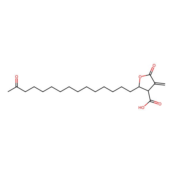 2D Structure of 4-Methylidene-5-oxo-2-(14-oxopentadecyl)oxolane-3-carboxylic acid