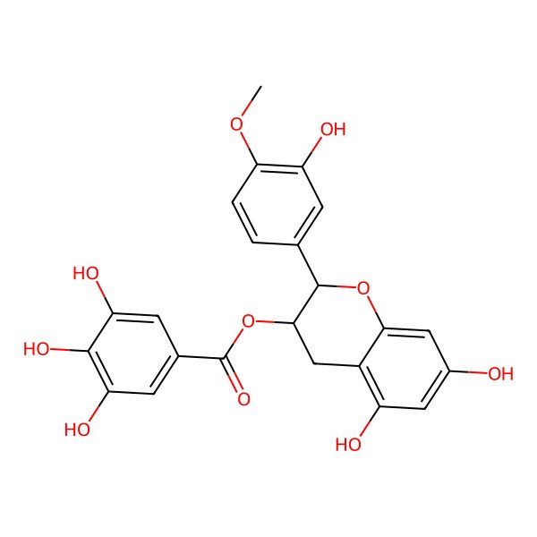 2D Structure of 4'-o-Methylepicatechin-3-o-gallate