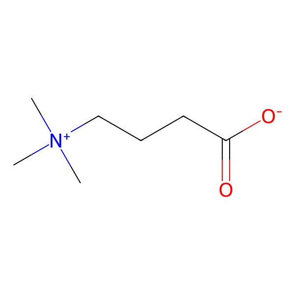 2D Structure of Gamma-Butyrobetaine