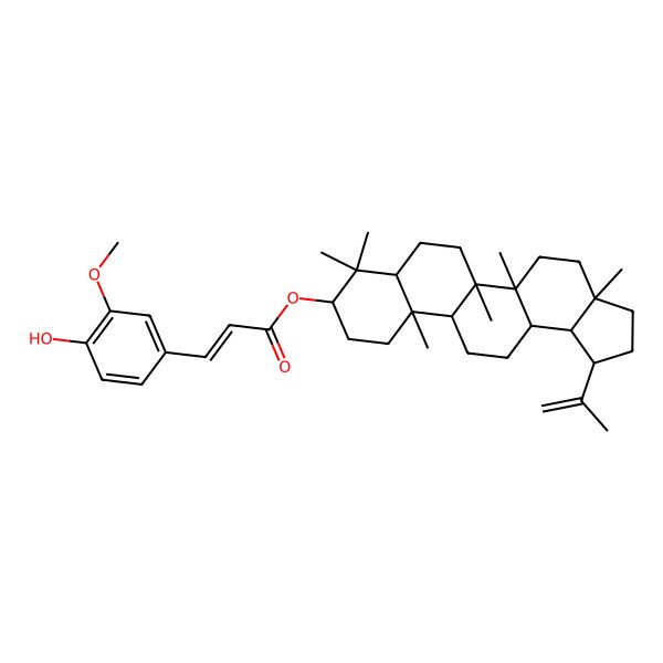 2D Structure of [(1R,3aR,5aR,5bR,7aR,9S,11aR,11bR,13aR,13bR)-3a,5a,5b,8,8,11a-hexamethyl-1-prop-1-en-2-yl-1,2,3,4,5,6,7,7a,9,10,11,11b,12,13,13a,13b-hexadecahydrocyclopenta[a]chrysen-9-yl] (Z)-3-(4-hydroxy-3-methoxyphenyl)prop-2-enoate