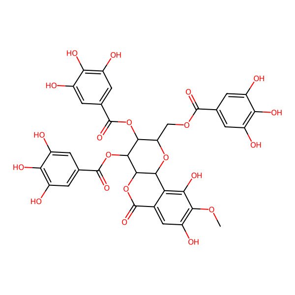 2D Structure of [8,10-dihydroxy-9-methoxy-6-oxo-3,4-bis[(3,4,5-trihydroxybenzoyl)oxy]-3,4,4a,10b-tetrahydro-2H-pyrano[3,2-c]isochromen-2-yl]methyl 3,4,5-trihydroxybenzoate