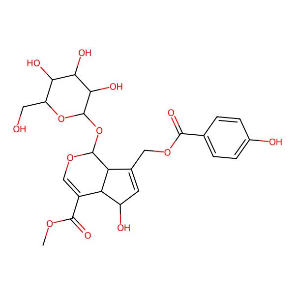 2D Structure of methyl (1S,4aS,5R,7aS)-5-hydroxy-7-[(4-hydroxybenzoyl)oxymethyl]-1-[(2S,3R,4S,5S,6R)-3,4,5-trihydroxy-6-(hydroxymethyl)oxan-2-yl]oxy-1,4a,5,7a-tetrahydrocyclopenta[c]pyran-4-carboxylate