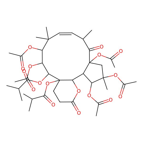 2D Structure of [3,4,6,12,13-Pentaacetyloxy-4,8,11,11-tetramethyl-15-(2-methylpropanoyloxy)-7,18-dioxo-19-oxatricyclo[13.4.0.02,6]nonadec-9-en-14-yl] 2-methylpropanoate