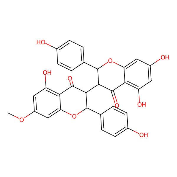 2D Structure of (2R,3S)-5,7-dihydroxy-3-[(2S,3S)-5-hydroxy-2-(4-hydroxyphenyl)-7-methoxy-4-oxo-2,3-dihydrochromen-3-yl]-2-(4-hydroxyphenyl)-2,3-dihydrochromen-4-one