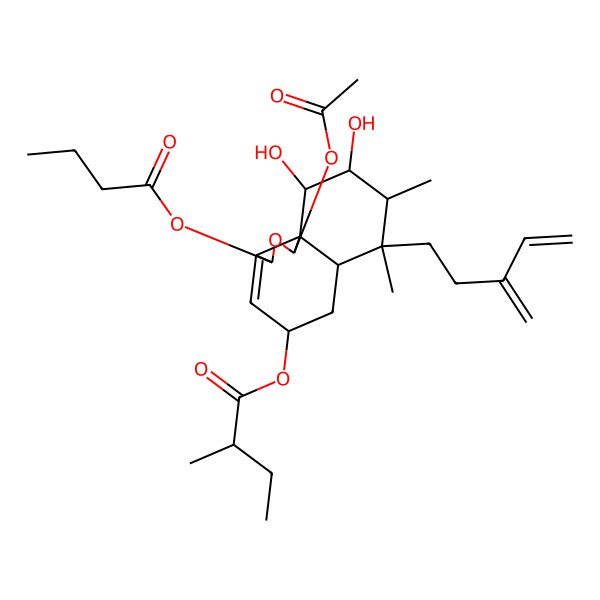 2D Structure of [(1R,3S,5S,6aR,7S,8R,9R,10S,10aR)-1-acetyloxy-3-butanoyloxy-9,10-dihydroxy-7,8-dimethyl-7-(3-methylidenepent-4-enyl)-1,3,5,6,6a,8,9,10-octahydrobenzo[d][2]benzofuran-5-yl] 2-methylbutanoate