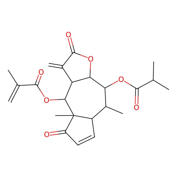2D Structure of [5,8a-Dimethyl-1-methylidene-9-(2-methylprop-2-enoyloxy)-2,8-dioxo-3a,4,5,5a,9,9a-hexahydroazuleno[6,7-b]furan-4-yl] 2-methylpropanoate
