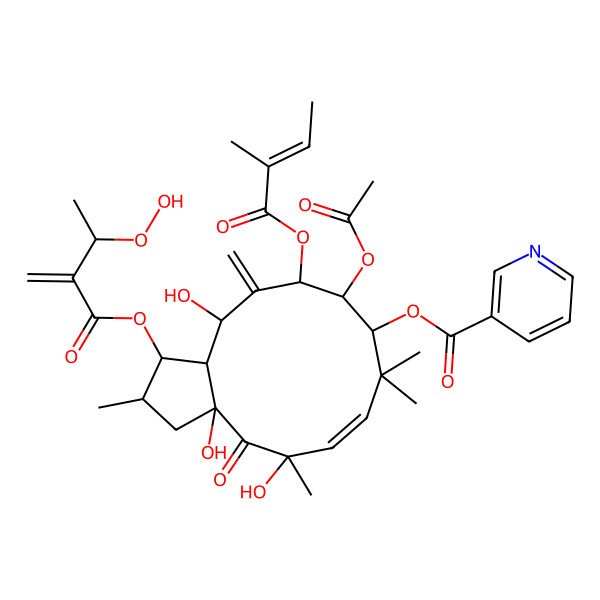 2D Structure of [(1S,2S,3aR,5R,6Z,9S,10S,11S,13R,13aS)-10-acetyloxy-1-(3-hydroperoxy-2-methylidenebutanoyl)oxy-3a,5,13-trihydroxy-2,5,8,8-tetramethyl-11-[(Z)-2-methylbut-2-enoyl]oxy-12-methylidene-4-oxo-1,2,3,9,10,11,13,13a-octahydrocyclopenta[12]annulen-9-yl] pyridine-3-carboxylate