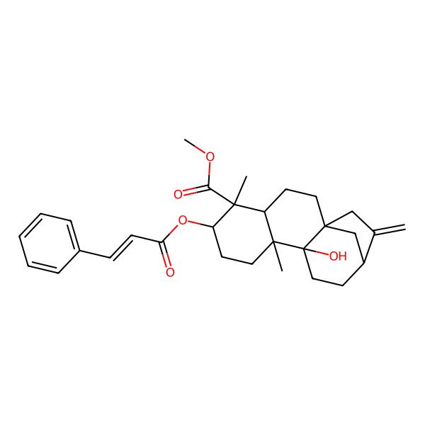 2D Structure of methyl (1S,4S,5S,6R,9R,10S,13R)-10-hydroxy-5,9-dimethyl-14-methylidene-6-[(E)-3-phenylprop-2-enoyl]oxytetracyclo[11.2.1.01,10.04,9]hexadecane-5-carboxylate