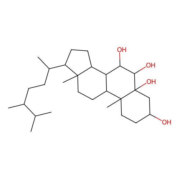 2D Structure of 17-(5,6-Dimethylheptan-2-yl)-10,13-dimethyl-1,2,3,4,6,7,8,9,11,12,14,15,16,17-tetradecahydrocyclopenta[a]phenanthrene-3,5,6,7-tetrol