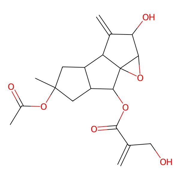 2D Structure of [(1R,2R,3S,5R,7R,8R,10R,11R)-5-acetyloxy-10-hydroxy-5-methyl-9-methylidene-12-oxatetracyclo[6.4.0.01,11.03,7]dodecan-2-yl] 2-(hydroxymethyl)prop-2-enoate