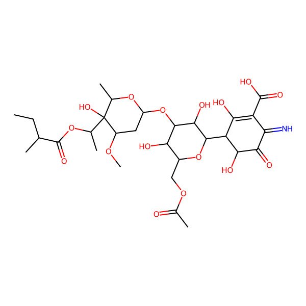 2D Structure of (3S,4S)-3-[(2R,3R,4R,5S,6S)-6-(acetyloxymethyl)-3,5-dihydroxy-4-[(2R,4R,5R,6R)-5-hydroxy-4-methoxy-6-methyl-5-[(1R)-1-[(2S)-2-methylbutanoyl]oxyethyl]oxan-2-yl]oxyoxan-2-yl]-2,4-dihydroxy-6-imino-5-oxocyclohexene-1-carboxylic acid