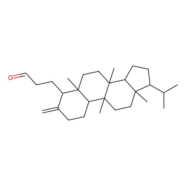 2D Structure of 3-[(4R,5S,8S,9R,10S,13R,14R,17R)-5,8,9,13-tetramethyl-3-methylidene-17-propan-2-yl-1,2,4,6,7,10,11,12,14,15,16,17-dodecahydrocyclopenta[a]phenanthren-4-yl]propanal