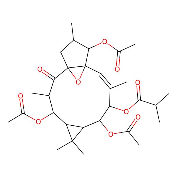 2D Structure of (4,8,13-Triacetyloxy-3,6,6,10,14-pentamethyl-2-oxo-16-oxatetracyclo[10.3.1.01,12.05,7]hexadec-10-en-9-yl) 2-methylpropanoate