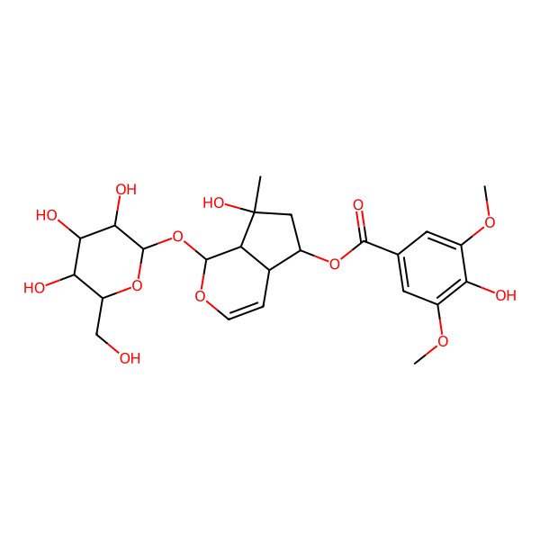 2D Structure of [(4aS,7S,7aS)-7-hydroxy-7-methyl-1-[(2R)-3,4,5-trihydroxy-6-(hydroxymethyl)oxan-2-yl]oxy-4a,5,6,7a-tetrahydro-1H-cyclopenta[c]pyran-5-yl] 4-hydroxy-3,5-dimethoxybenzoate