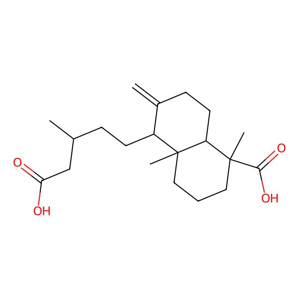 2D Structure of (1R,4aR,5S,8aS)-5-[(3R)-4-carboxy-3-methylbutyl]-1,4a-dimethyl-6-methylidene-3,4,5,7,8,8a-hexahydro-2H-naphthalene-1-carboxylic acid