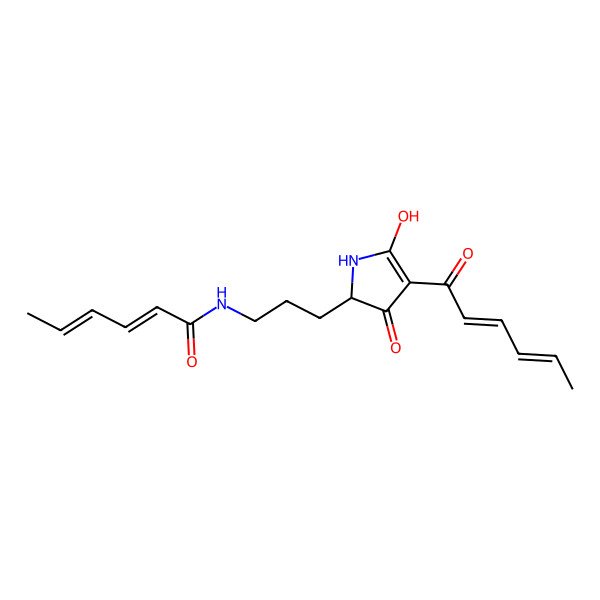 2D Structure of (2E,4E)-N-[3-[4-[(2E,4E)-hexa-2,4-dienoyl]-5-hydroxy-3-oxo-1,2-dihydropyrrol-2-yl]propyl]hexa-2,4-dienamide