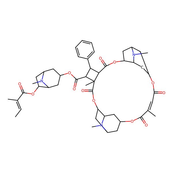 2D Structure of [8-Methyl-6-(2-methylbut-2-enoyloxy)-8-azabicyclo[3.2.1]octan-3-yl] 6,15,22,28-tetramethyl-5,10,20,23-tetraoxo-8-phenyl-4,11,19,24-tetraoxa-15,28-diazahexacyclo[23.3.1.114,18.03,27.06,9.012,16]triacont-21-ene-7-carboxylate
