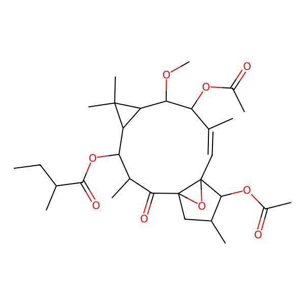 2D Structure of (9,13-Diacetyloxy-8-methoxy-3,6,6,10,14-pentamethyl-2-oxo-16-oxatetracyclo[10.3.1.01,12.05,7]hexadec-10-en-4-yl) 2-methylbutanoate