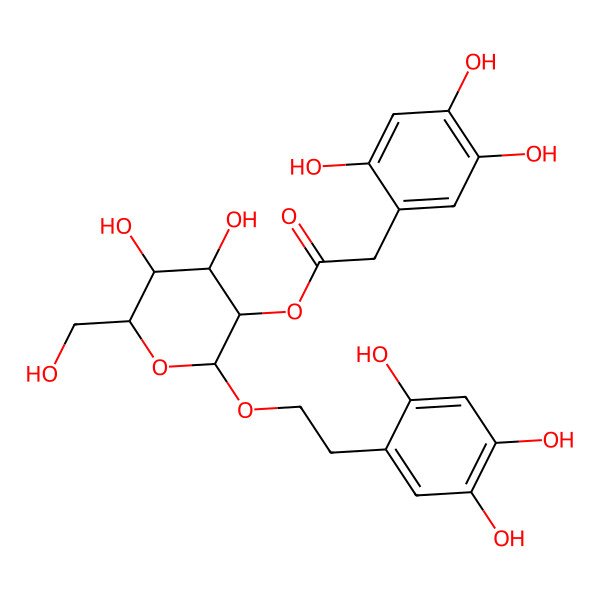 2D Structure of [(2R,3R,4S,5S,6R)-4,5-dihydroxy-6-(hydroxymethyl)-2-[2-(2,4,5-trihydroxyphenyl)ethoxy]oxan-3-yl] 2-(2,4,5-trihydroxyphenyl)acetate
