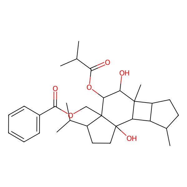 2D Structure of [(1R,2R,5S,6S,7S,8S,9S,10R,13S,14S)-2,8-dihydroxy-9,13-dimethyl-7-(2-methylpropanoyloxy)-5-propan-2-yl-6-tetracyclo[7.5.0.02,6.010,14]tetradecanyl]methyl benzoate