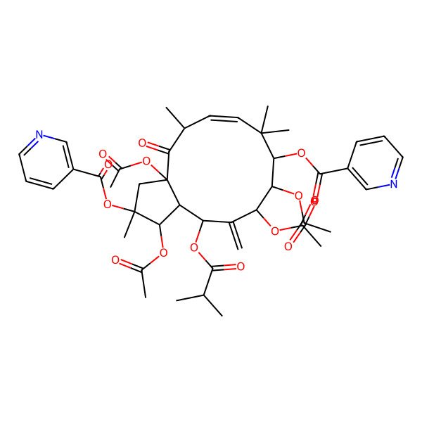 2D Structure of [1,3a,10,11-Tetraacetyloxy-2,5,8,8-tetramethyl-12-methylidene-13-(2-methylpropanoyloxy)-4-oxo-2-(pyridine-3-carbonyloxy)-1,3,5,9,10,11,13,13a-octahydrocyclopenta[12]annulen-9-yl] pyridine-3-carboxylate
