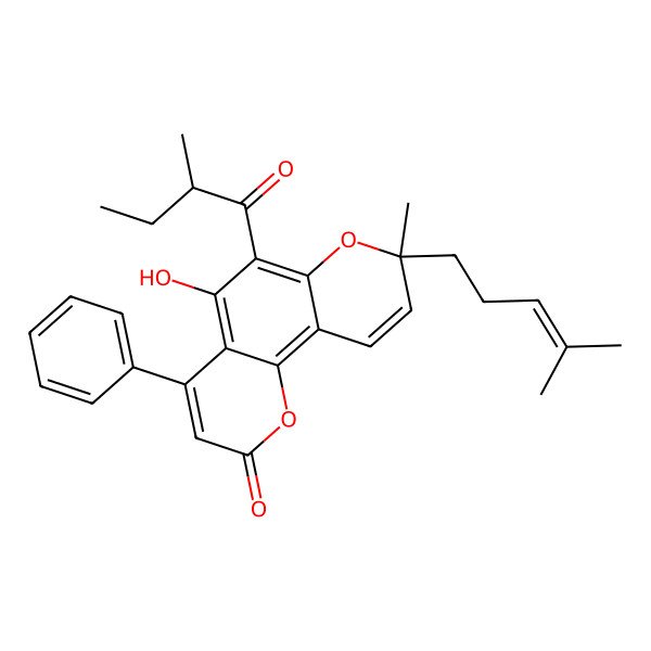 2D Structure of (8R)-5-hydroxy-8-methyl-6-[(2R)-2-methylbutanoyl]-8-(4-methylpent-3-enyl)-4-phenylpyrano[2,3-h]chromen-2-one