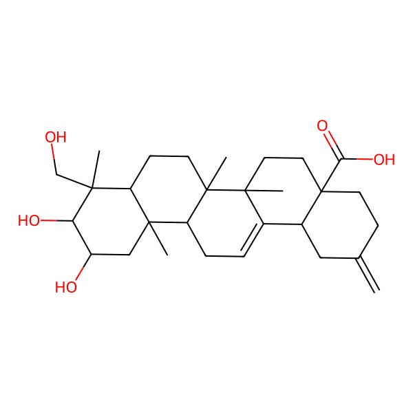 2D Structure of (4aS,6aR,6aS,6bR,8aR,9R,10R,11R,12aR,14bS)-10,11-dihydroxy-9-(hydroxymethyl)-6a,6b,9,12a-tetramethyl-2-methylidene-1,3,4,5,6,6a,7,8,8a,10,11,12,13,14b-tetradecahydropicene-4a-carboxylic acid