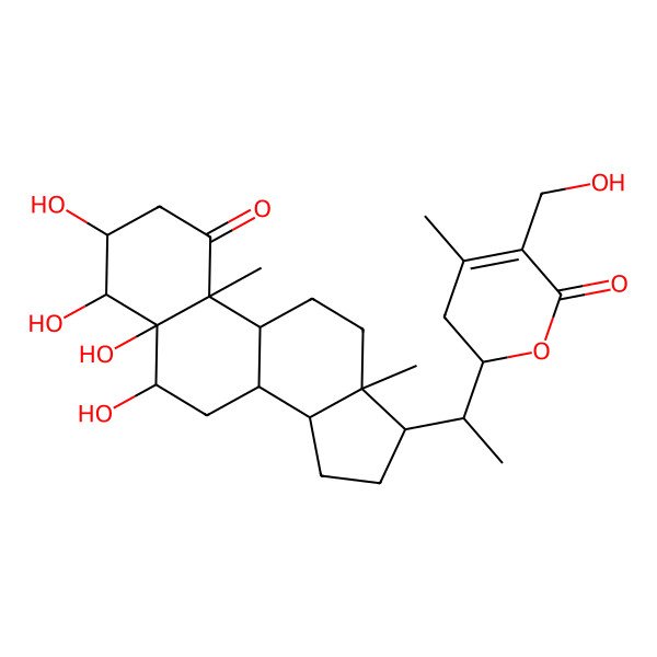 2D Structure of (2R)-5-(hydroxymethyl)-4-methyl-2-[(1S)-1-[(3S,4S,5R,6R,8S,9S,10R,13S,14S,17R)-3,4,5,6-tetrahydroxy-10,13-dimethyl-1-oxo-3,4,6,7,8,9,11,12,14,15,16,17-dodecahydro-2H-cyclopenta[a]phenanthren-17-yl]ethyl]-2,3-dihydropyran-6-one