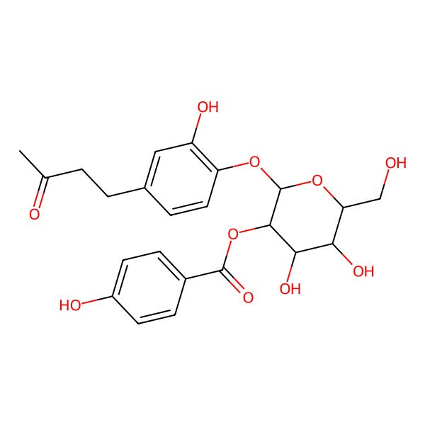 2D Structure of [4,5-Dihydroxy-6-(hydroxymethyl)-2-[2-hydroxy-4-(3-oxobutyl)phenoxy]oxan-3-yl] 4-hydroxybenzoate