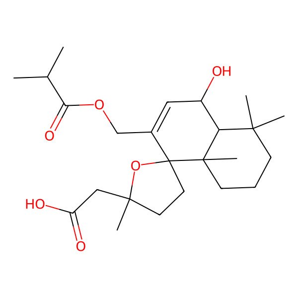 2D Structure of 2-[5-hydroxy-2',4,4,8a-tetramethyl-7-(2-methylpropanoyloxymethyl)spiro[2,3,4a,5-tetrahydro-1H-naphthalene-8,5'-oxolane]-2'-yl]acetic acid