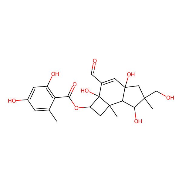 2D Structure of [3-formyl-2a,4a,7-trihydroxy-6-(hydroxymethyl)-6,7b-dimethyl-2,5,7,7a-tetrahydro-1H-cyclobuta[e]inden-2-yl] 2,4-dihydroxy-6-methylbenzoate