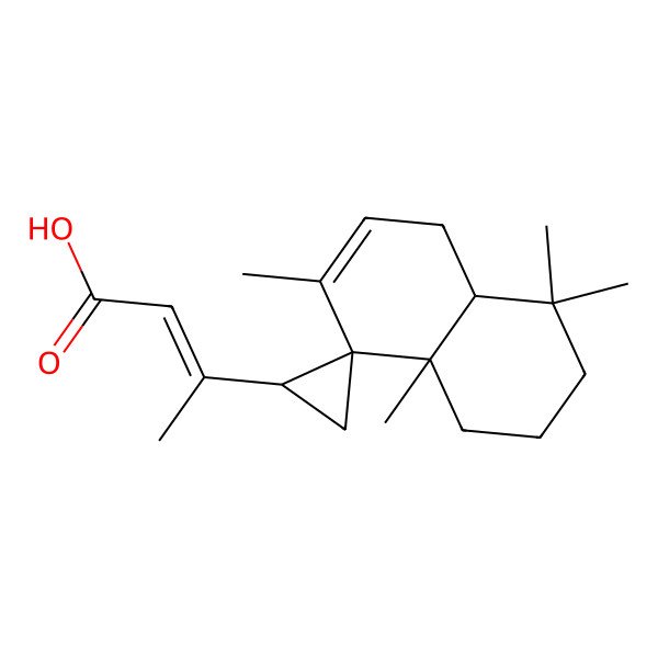 2D Structure of 3-(4,4,7,8a-tetramethylspiro[2,3,4a,5-tetrahydro-1H-naphthalene-8,2'-cyclopropane]-1'-yl)but-2-enoic acid