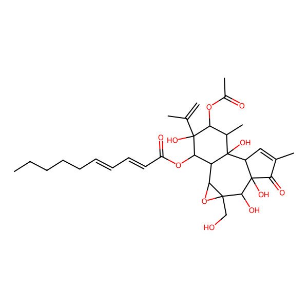 2D Structure of [13-Acetyloxy-5,6,11,14-tetrahydroxy-4-(hydroxymethyl)-8,12-dimethyl-7-oxo-14-prop-1-en-2-yl-3-oxatetracyclo[9.4.0.02,4.06,10]pentadec-8-en-15-yl] deca-2,4-dienoate