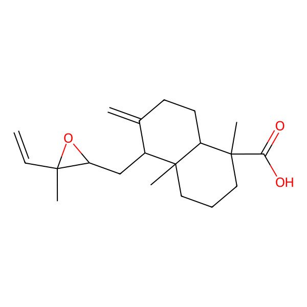 2D Structure of (1S,4aR,5S,8aR)-5-[[(2S,3S)-3-ethenyl-3-methyloxiran-2-yl]methyl]-1,4a-dimethyl-6-methylidene-3,4,5,7,8,8a-hexahydro-2H-naphthalene-1-carboxylic acid