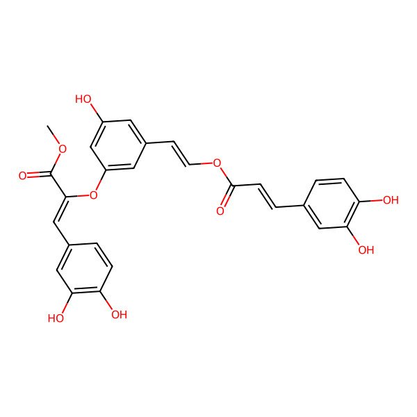 2D Structure of Methyl 3-(3,4-dihydroxyphenyl)-2-[3-[2-[3-(3,4-dihydroxyphenyl)prop-2-enoyloxy]ethenyl]-5-hydroxyphenoxy]prop-2-enoate