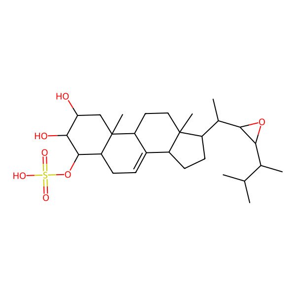 2D Structure of [(2R,3S,4S,9R,10R,13R,14R,17R)-2,3-dihydroxy-10,13-dimethyl-17-[(1S)-1-[(2S,3S)-3-[(2R)-3-methylbutan-2-yl]oxiran-2-yl]ethyl]-2,3,4,5,6,9,11,12,14,15,16,17-dodecahydro-1H-cyclopenta[a]phenanthren-4-yl] hydrogen sulfate