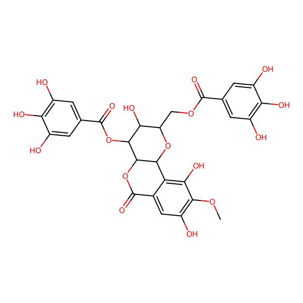 2D Structure of [3,8,10-trihydroxy-9-methoxy-6-oxo-4-(3,4,5-trihydroxybenzoyl)oxy-3,4,4a,10b-tetrahydro-2H-pyrano[3,2-c]isochromen-2-yl]methyl 3,4,5-trihydroxybenzoate