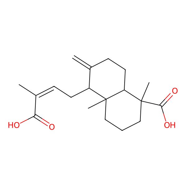 2D Structure of (1R,4aR,5S,8aR)-5-[(E)-3-carboxybut-2-enyl]-1,4a-dimethyl-6-methylidene-3,4,5,7,8,8a-hexahydro-2H-naphthalene-1-carboxylic acid