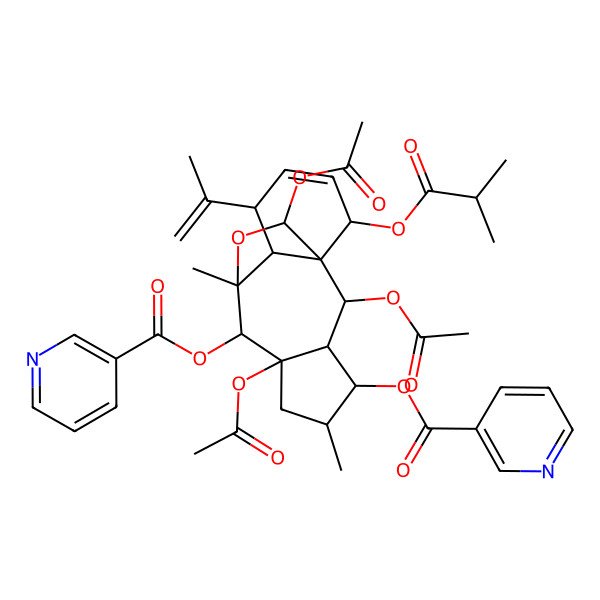 2D Structure of [2,7,15-Triacetyloxy-5,9-dimethyl-14-(2-methylpropanoyloxy)-11-prop-1-en-2-yl-8-(pyridine-3-carbonyloxy)-16-oxatetracyclo[7.5.2.01,10.03,7]hexadec-12-en-4-yl] pyridine-3-carboxylate