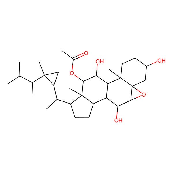 2D Structure of [5,10,18-Trihydroxy-2,16-dimethyl-15-[1-[2-methyl-2-(3-methylbutan-2-yl)cyclopropyl]ethyl]-8-oxapentacyclo[9.7.0.02,7.07,9.012,16]octadecan-17-yl] acetate