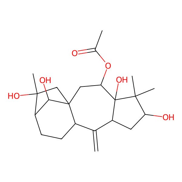 2D Structure of (4,6,14,16-Tetrahydroxy-5,5,14-trimethyl-9-methylidene-3-tetracyclo[11.2.1.01,10.04,8]hexadecanyl) acetate
