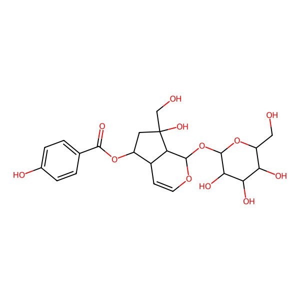 2D Structure of [(1S,4aR,5R,7S,7aS)-7-hydroxy-7-(hydroxymethyl)-1-[(2S,3R,4S,5S,6R)-3,4,5-trihydroxy-6-(hydroxymethyl)oxan-2-yl]oxy-4a,5,6,7a-tetrahydro-1H-cyclopenta[c]pyran-5-yl] 4-hydroxybenzoate