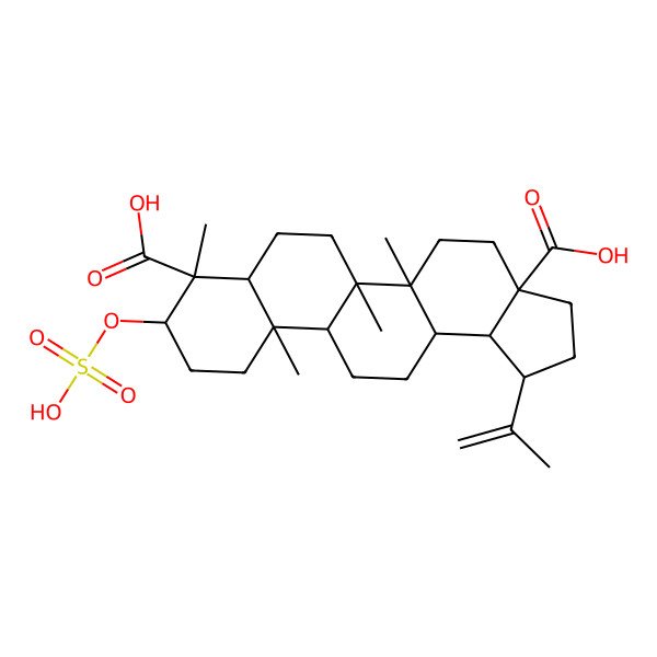 2D Structure of 5a,5b,8,11a-Tetramethyl-1-prop-1-en-2-yl-9-sulfooxy-1,2,3,4,5,6,7,7a,9,10,11,11b,12,13,13a,13b-hexadecahydrocyclopenta[a]chrysene-3a,8-dicarboxylic acid