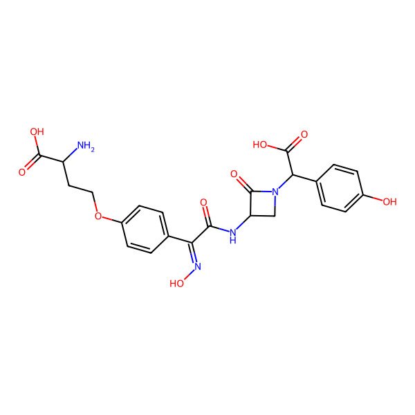 2D Structure of (2S)-2-Amino-4-[4-[(Z)-C-[[(3S)-1-[(S)-carboxy-(4-hydroxyphenyl)methyl]-2-oxoazetidin-3-yl]carbamoyl]-N-hydroxycarbonimidoyl]phenoxy]butanoic acid