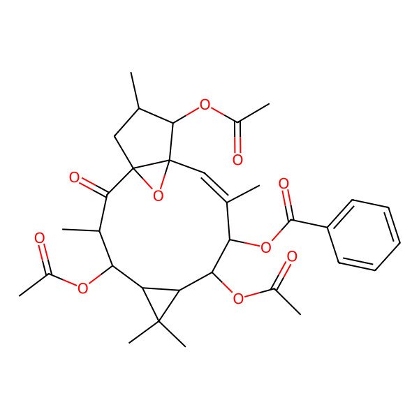 2D Structure of (4,8,13-Triacetyloxy-3,6,6,10,14-pentamethyl-2-oxo-16-oxatetracyclo[10.3.1.01,12.05,7]hexadec-10-en-9-yl) benzoate