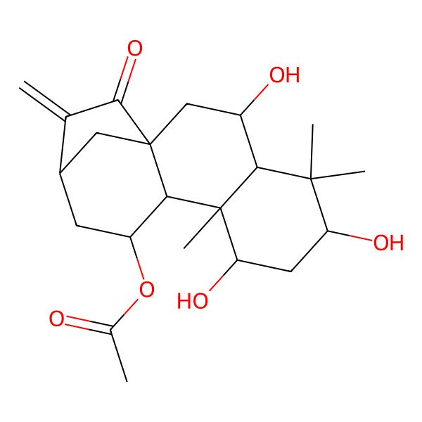 2D Structure of [(1S,3S,4R,6S,8S,9R,10S,11R,13S)-3,6,8-trihydroxy-5,5,9-trimethyl-14-methylidene-15-oxo-11-tetracyclo[11.2.1.01,10.04,9]hexadecanyl] acetate