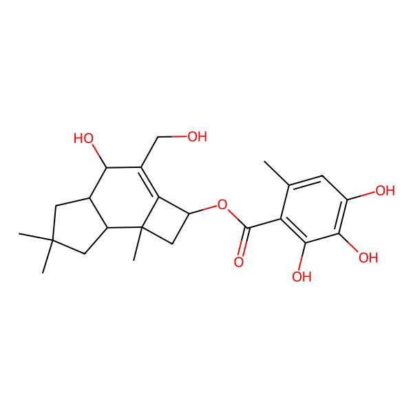 2D Structure of CID 78173191