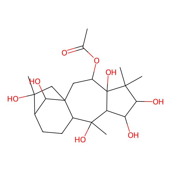 2D Structure of (4,6,7,9,14,16-Hexahydroxy-5,5,9,14-tetramethyl-3-tetracyclo[11.2.1.01,10.04,8]hexadecanyl) acetate